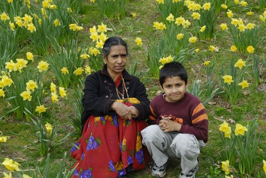 An Indian Kid with Grand mother in a field of daffoldils