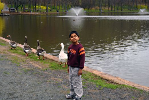 A yound indian kid excited to see ducks walking near a lake