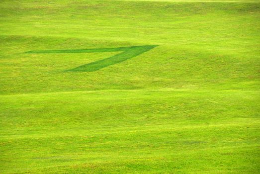 Abstract back ground formed by green grass