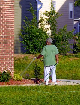 An old African American women watering her lawn - Outdoor series