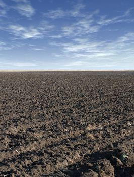 The ploughed field. humus - the fertile grounds of the East Europe