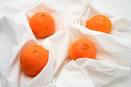 beautiful oranges over white background