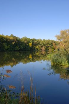 River landscape. It is photographed in the early autumn morning.
