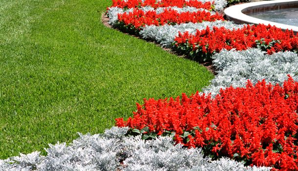 Red Snapdragon Flowers and Grass is a beautiful landscaped lawn next to a fountain. There are beautiful red and silver contrasting colors in the curvy composition.
