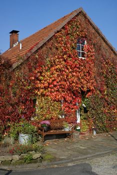 Close vegetation on the front of a house.