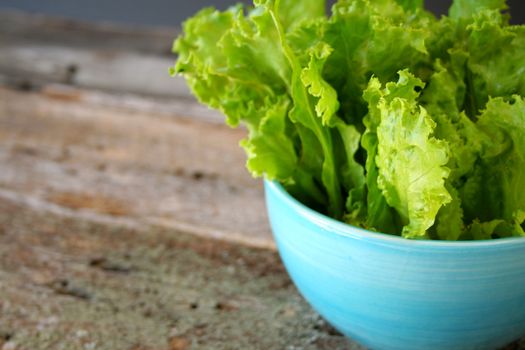 Fresh green leaf lettuce in a blue bowl.  Used a shallow depth of field.
