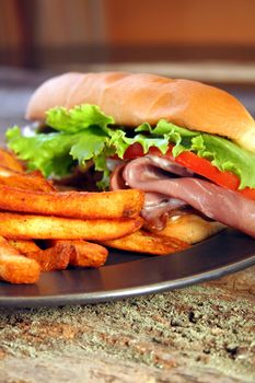 Roast beef sub and french fries on a plate.