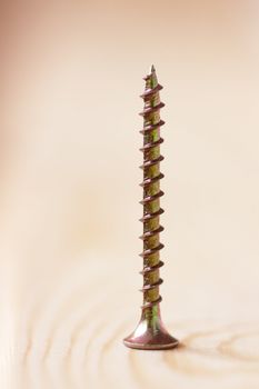 Closeup view of self-tapped screw over wood background