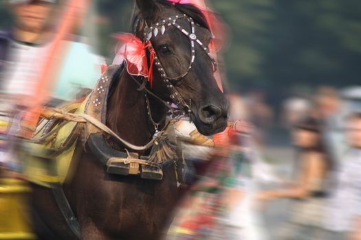 A beautiful woman walking with a horse 