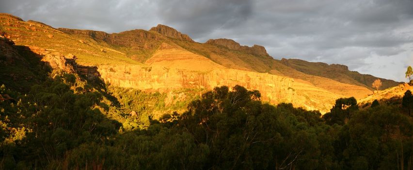 The Famous Garden road in South Africa