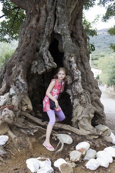 little girl in a big olive tree