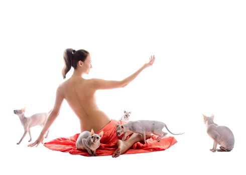 Young woman is smiling and lifting up her hand. She is laying on the red fabic. 5 sphinx cats walking around her. Isolated over white background