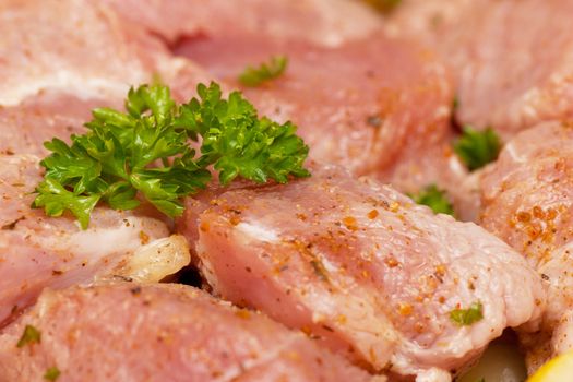 Closeup view of spiced uncooked meat with fresh parsley