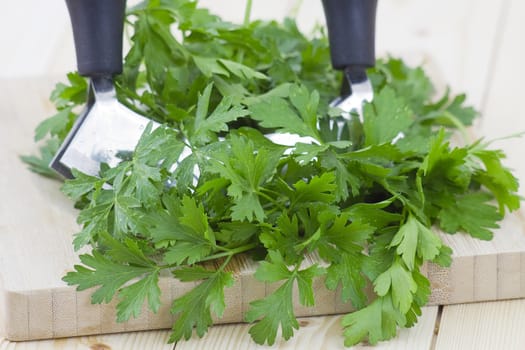 Freshly chopped parsley on wooden cutting board