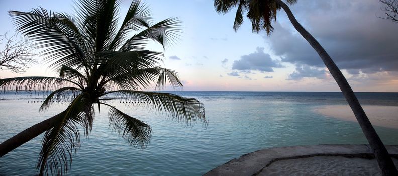 Coconuts with sunset in the Island of Embudu in the Maldives