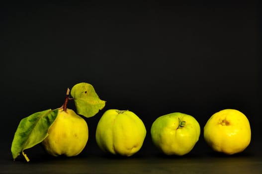 Four ripe quince fruit on dark background