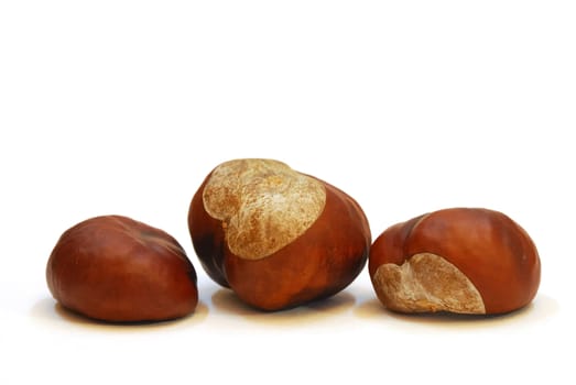 Three ripe chestnut fruit on white background