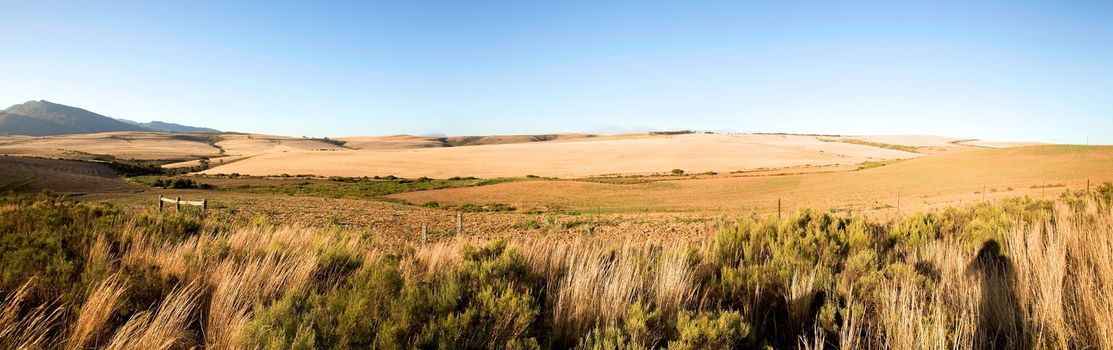 Fields and agriculture on the incredible Garden Road in South Africa