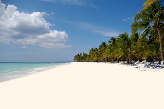 Exotic beach with white sand and palms