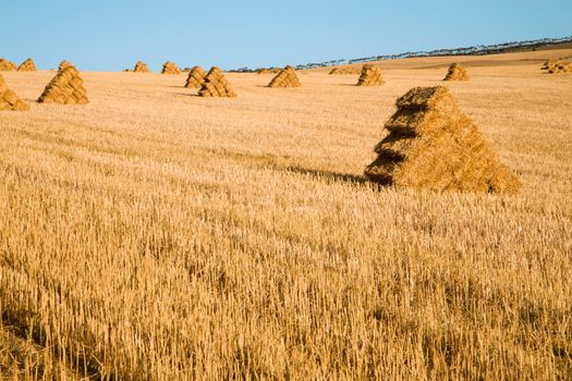 Fields and agriculture on the incredible Garden Road in South Africa