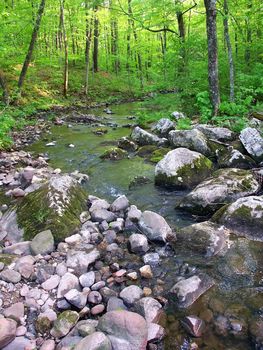 Stream flows through a dense woodland at Baxters Hollow State Natural Area in southern Wisconsin.