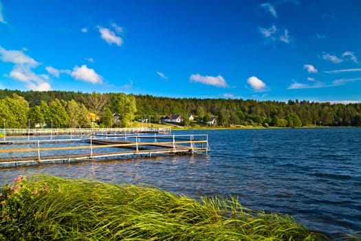 Summer landscape at the lake and forest
