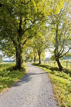 An image of a nice autumn landscape