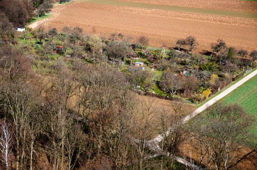 Allotments with flowers vegetables and fruits view from