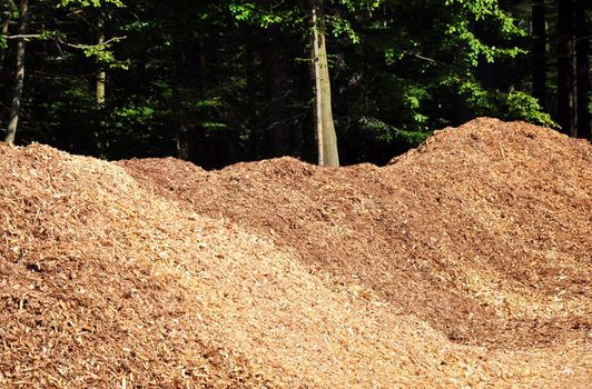 Wood chips