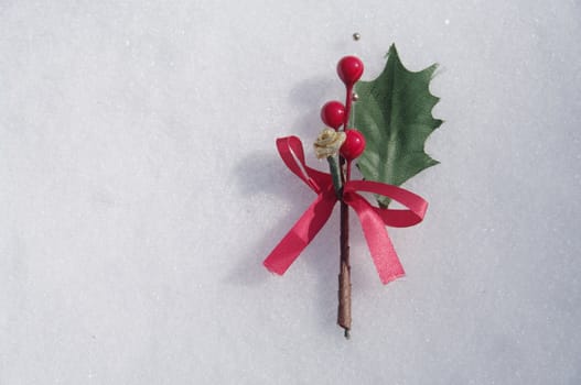 holly berry on a real snowy icy surface