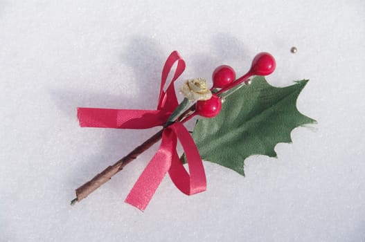 holly berry on a real snowy icy surface