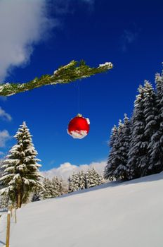 a red bauble in a winter landscape