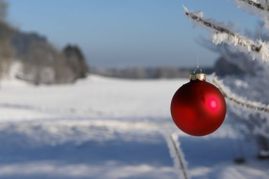 a red bauble in snowy winter landscape