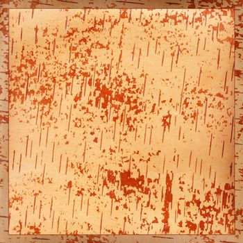 Abstract backgrounds, square on a natural wood, birch bark