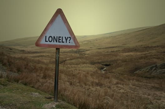 A single weathered British warning road sign with the word 'lonely?' against a barren moorland landscape