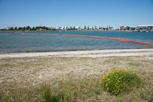 Orange oil boom snakelike across Tauranga harbour protects the beaches from contamination risk.