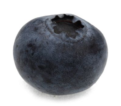 Macro shot of a blueberry against a white background.
