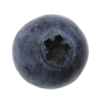 Upper view of a blueberry isolated against a white background.