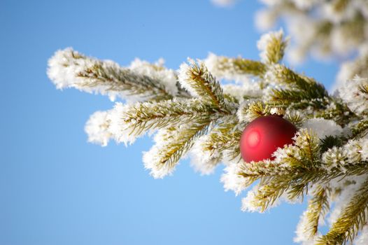 red bauble christmas ball ornament outside in a snowy winter scene