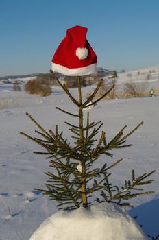 red santa claus hats in a snowy landscape