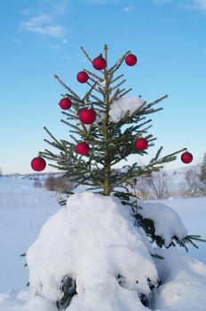 baubles  on a Christmas tree outside in a snowy landscape