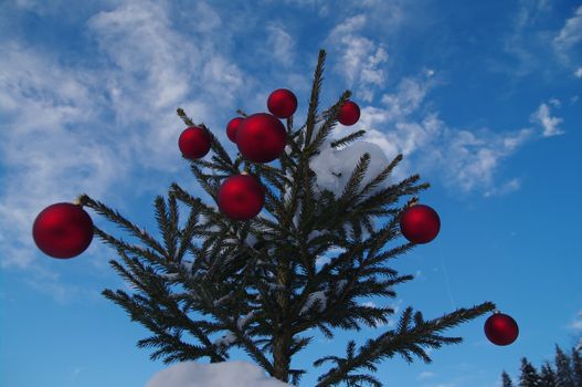 baubles  on a Christmas tree outside in a snowy landscape