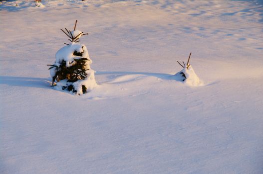 beautiful snowy winter landscape at Christmas time...