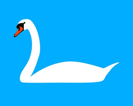 White swan