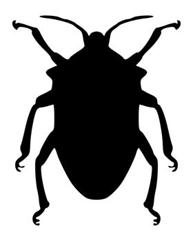 True bug silhouette