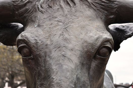 Waco statue longhorn closeup