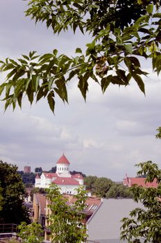 Vilnius architectural fragments are visible through the tree branches. Gediminas castle in the distance.