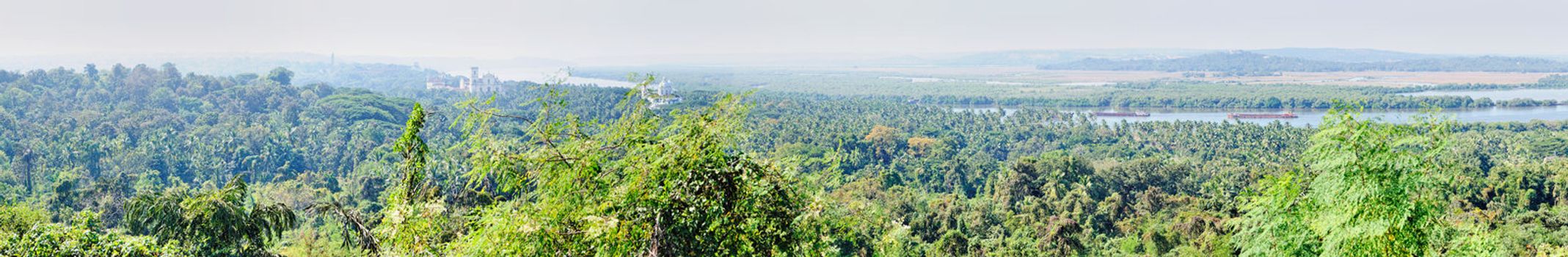 Panoramic view of tropical forest in Goa, India