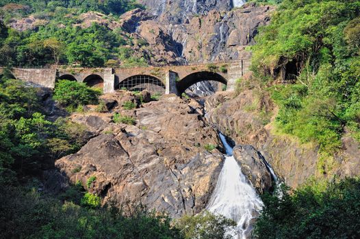 Waterfall Dudhsagar in Goa. Indian National Park