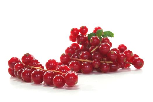 fresh currants on a white background